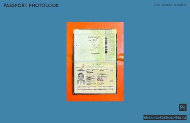 Brunei-Pass – Fotobeispiel-Vorschau